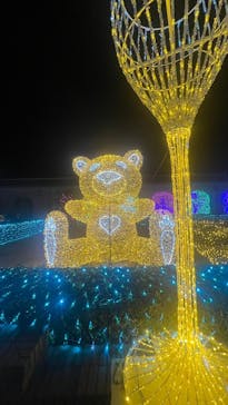 神戸イルミナージュに投稿された画像（2024/12/30）