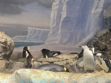 名古屋港水族館に投稿された画像（2024/12/30）