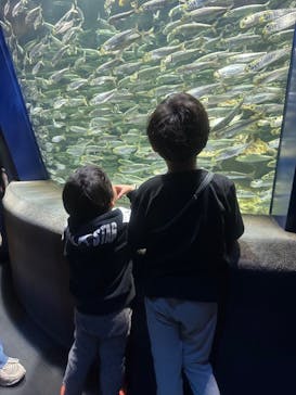 サンシャイン水族館に投稿された画像（2024/12/30）