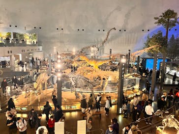 福井県立恐竜博物館に投稿された画像（2024/12/30）