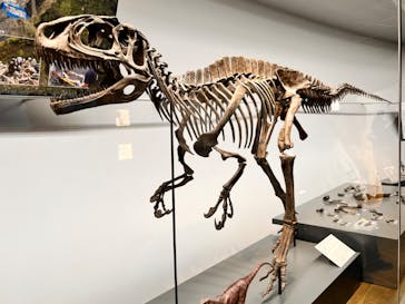 福井県立恐竜博物館に投稿された画像（2024/12/30）