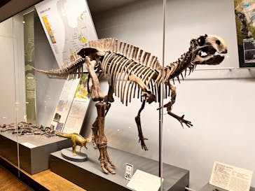 福井県立恐竜博物館に投稿された画像（2024/12/30）