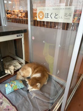 阿仁スキー場に投稿された画像（2024/12/30）