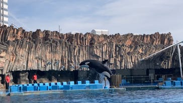 名古屋港水族館に投稿された画像（2024/12/30）