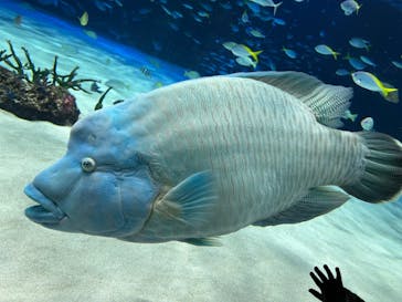 サンシャイン水族館に投稿された画像（2024/12/30）