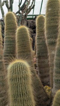 伊豆シャボテン動物公園に投稿された画像（2024/12/30）