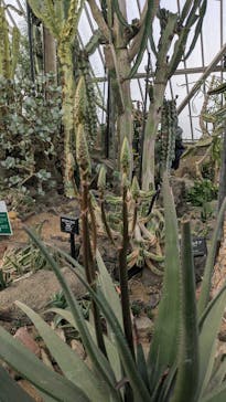 伊豆シャボテン動物公園に投稿された画像（2024/12/30）