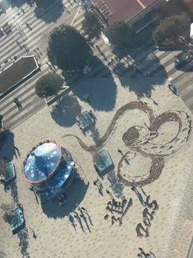 国営ひたち海浜公園プレジャーガーデンに投稿された画像（2024/12/30）