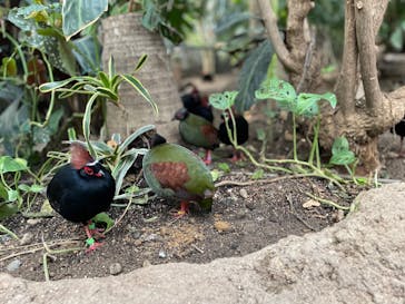 神戸どうぶつ王国に投稿された画像（2024/12/30）