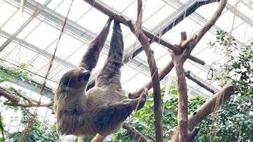 神戸どうぶつ王国に投稿された画像（2024/12/30）