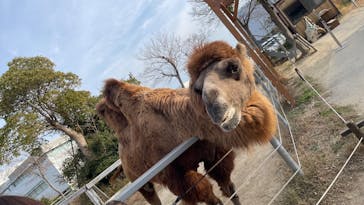 神戸どうぶつ王国に投稿された画像（2024/12/30）