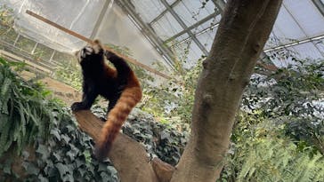 神戸どうぶつ王国に投稿された画像（2024/12/30）