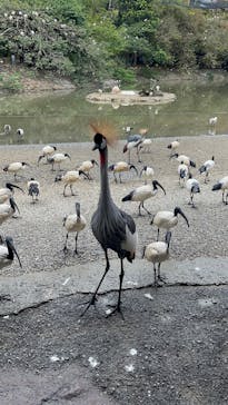 ネオパークオキナワに投稿された画像（2024/12/30）