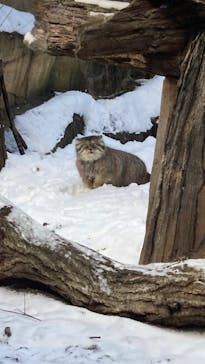 那須どうぶつ王国に投稿された画像（2024/12/30）