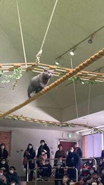 那須どうぶつ王国に投稿された画像（2024/12/30）