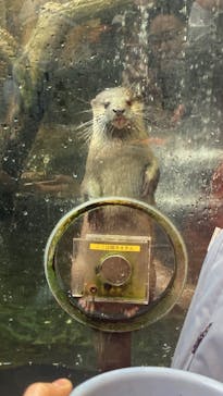 那須どうぶつ王国に投稿された画像（2024/12/30）