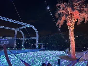 江の島シーキャンドル×新江ノ島水族館に投稿された画像（2024/12/30）