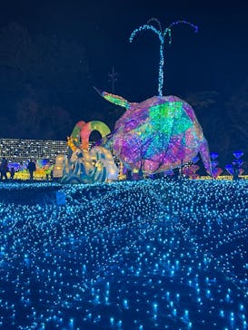 伊豆高原グランイルミに投稿された画像（2024/12/30）