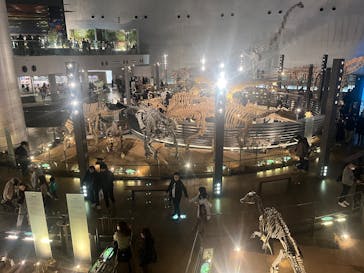 福井県立恐竜博物館に投稿された画像（2024/12/30）