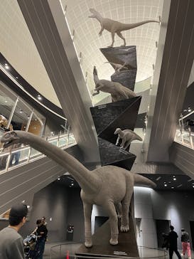 福井県立恐竜博物館に投稿された画像（2024/12/30）
