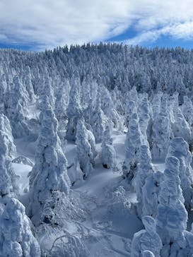 蔵王ロープウェイに投稿された画像（2024/12/30）