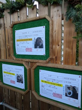 のぼりべつクマ牧場に投稿された画像（2024/12/30）