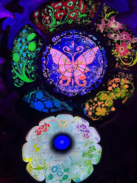 ひらかたパークに投稿された画像（2024/12/30）