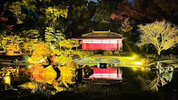 NAKED meets 二条城 2025 観月に投稿された画像（2024/12/30）