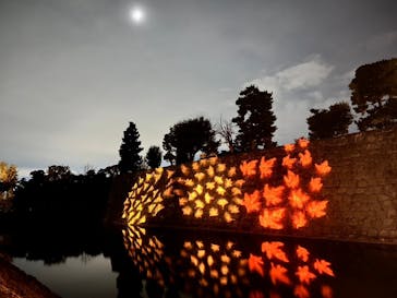 NAKED meets 二条城 2025 観月に投稿された画像（2024/12/30）