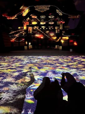 NAKED meets 二条城 2025 観月に投稿された画像（2024/12/30）