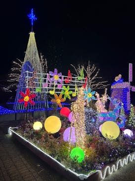 とっとり花回廊に投稿された画像（2024/12/30）