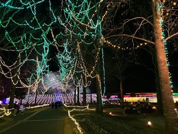 とっとり花回廊に投稿された画像（2024/12/30）