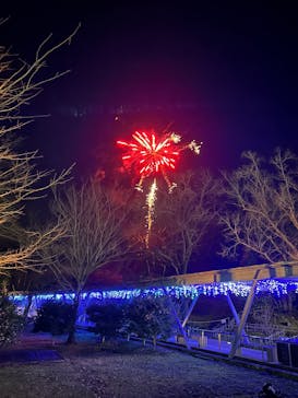 とっとり花回廊に投稿された画像（2024/12/30）