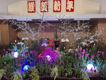 とっとり花回廊に投稿された画像（2024/12/30）