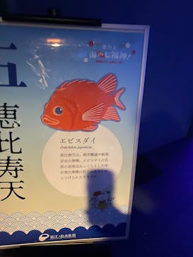 新江ノ島水族館に投稿された画像（2024/12/30）