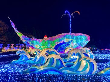 伊豆高原グランイルミに投稿された画像（2024/12/30）