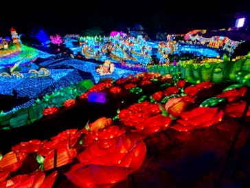 伊豆高原グランイルミに投稿された画像（2024/12/30）