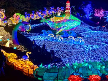 伊豆高原グランイルミに投稿された画像（2024/12/30）