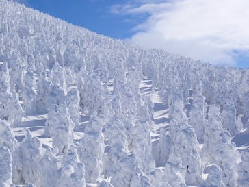 蔵王ロープウェイに投稿された画像（2024/12/30）