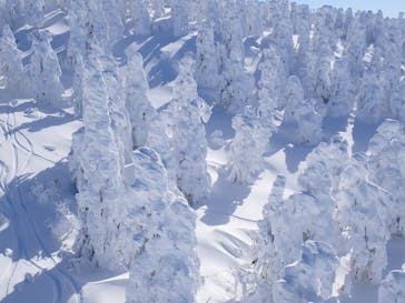 蔵王ロープウェイに投稿された画像（2024/12/30）