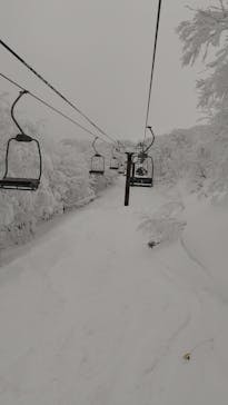 たざわ湖スキー場に投稿された画像（2024/12/30）