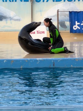 下田海中水族館に投稿された画像（2024/12/30）