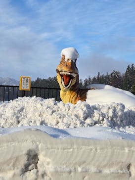 福井県立恐竜博物館に投稿された画像（2024/12/30）