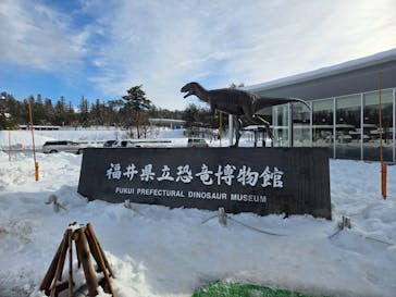 福井県立恐竜博物館に投稿された画像（2024/12/30）