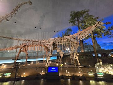 福井県立恐竜博物館に投稿された画像（2024/12/30）