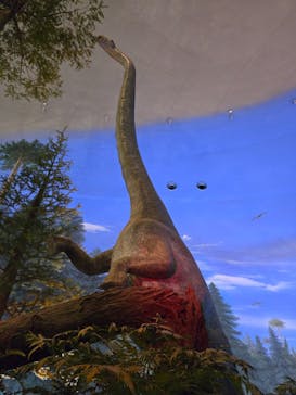 福井県立恐竜博物館に投稿された画像（2024/12/30）