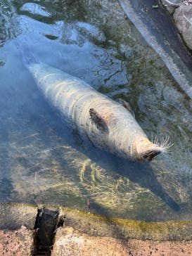 那須どうぶつ王国に投稿された画像（2024/12/30）