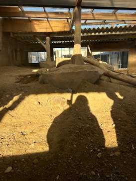 那須どうぶつ王国に投稿された画像（2024/12/30）