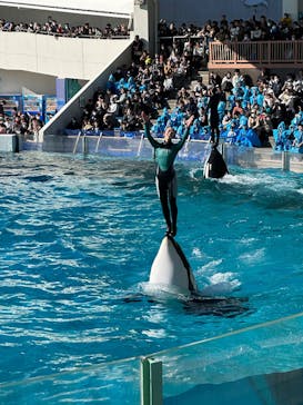 鴨川シーワールドに投稿された画像（2024/12/30）