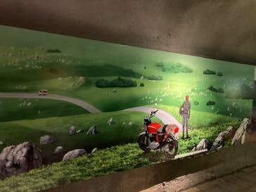 秋芳洞に投稿された画像（2024/12/30）